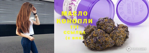 молекула духа Гусиноозёрск