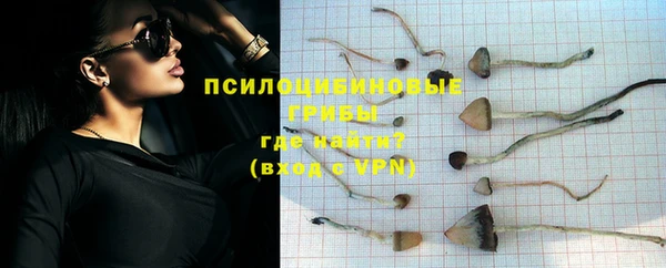 молекула духа Гусиноозёрск