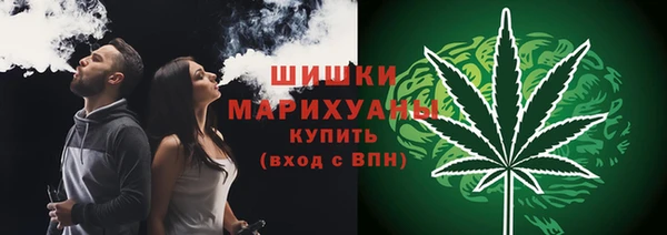 бутират Гусь-Хрустальный