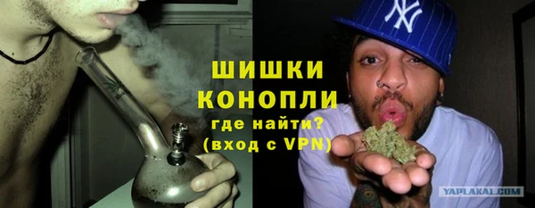 спайс Гусев