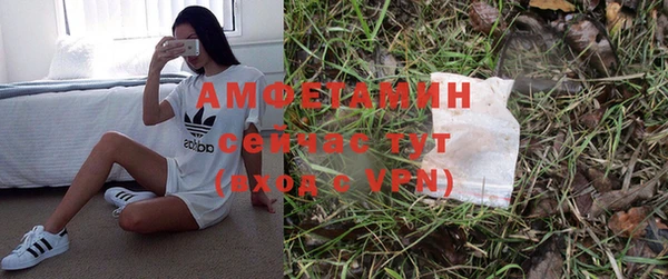 спайс Гусев