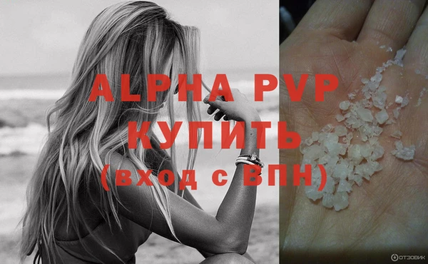 молекула духа Гусиноозёрск
