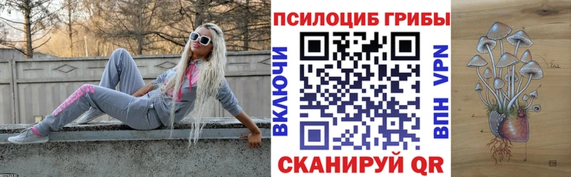 mega зеркало  мориарти какой сайт  Псилоцибиновые грибы Psilocybe  Задонск 